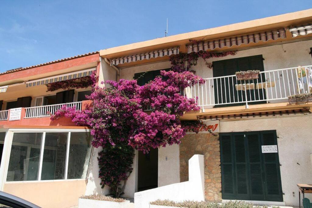 Apartment Hyeres-presqu'ile De Giens-la Capte